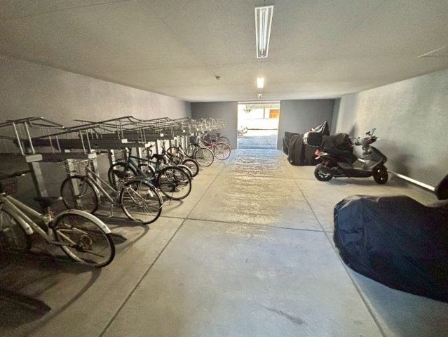  パレー　ブランシェ