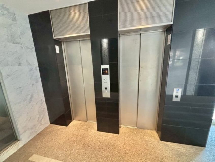  パレー　ブランシェ