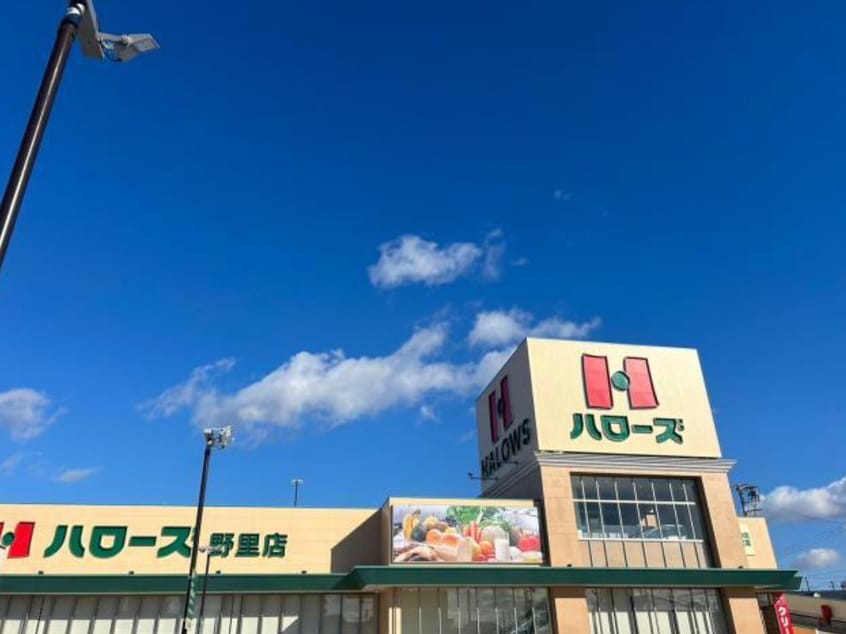 ハローズ 野里店(スーパー)まで655m ステラータ