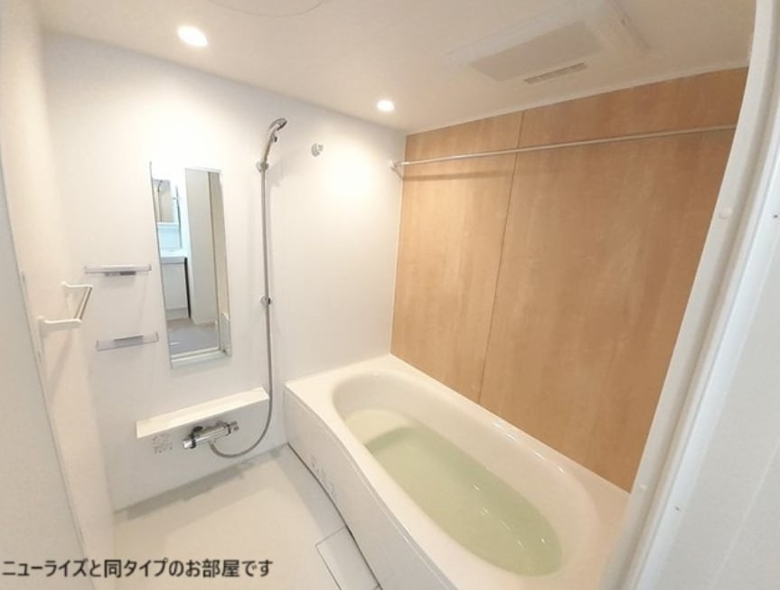  シャイニースカイ