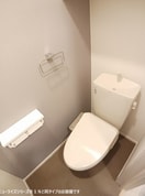  シャイニースカイ