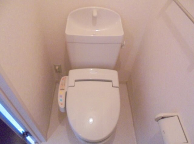  ダンディライオン