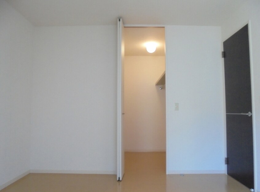  ダンディライオン