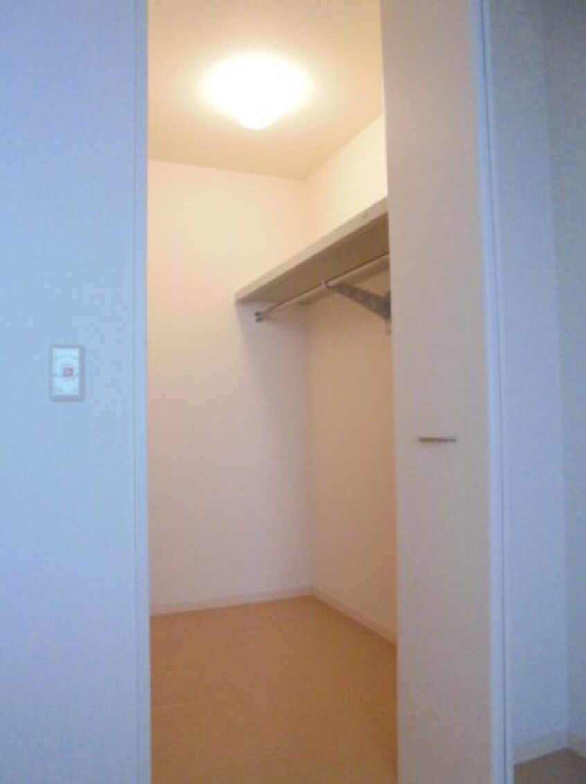  ダンディライオン