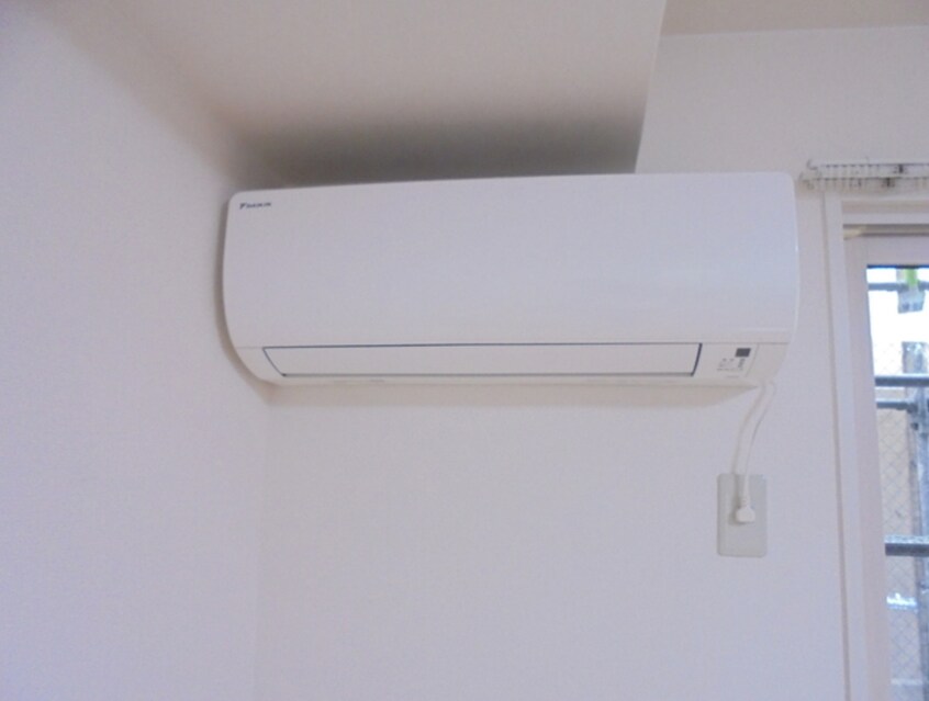  ダンディライオン