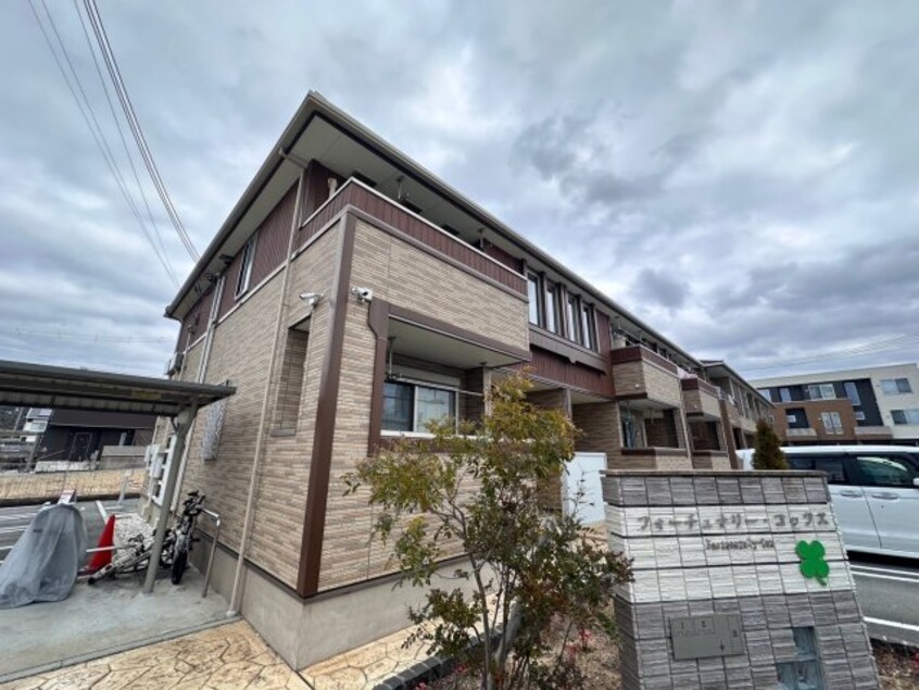  フォーチュナリー・コックスⅡ