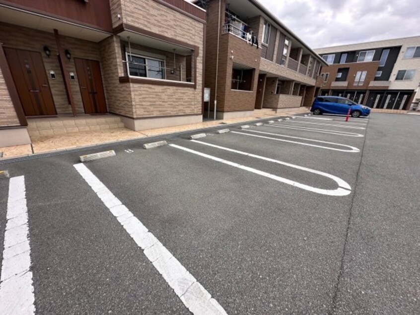  フォーチュナリー・コックスⅡ