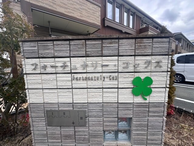  フォーチュナリー・コックスⅡ