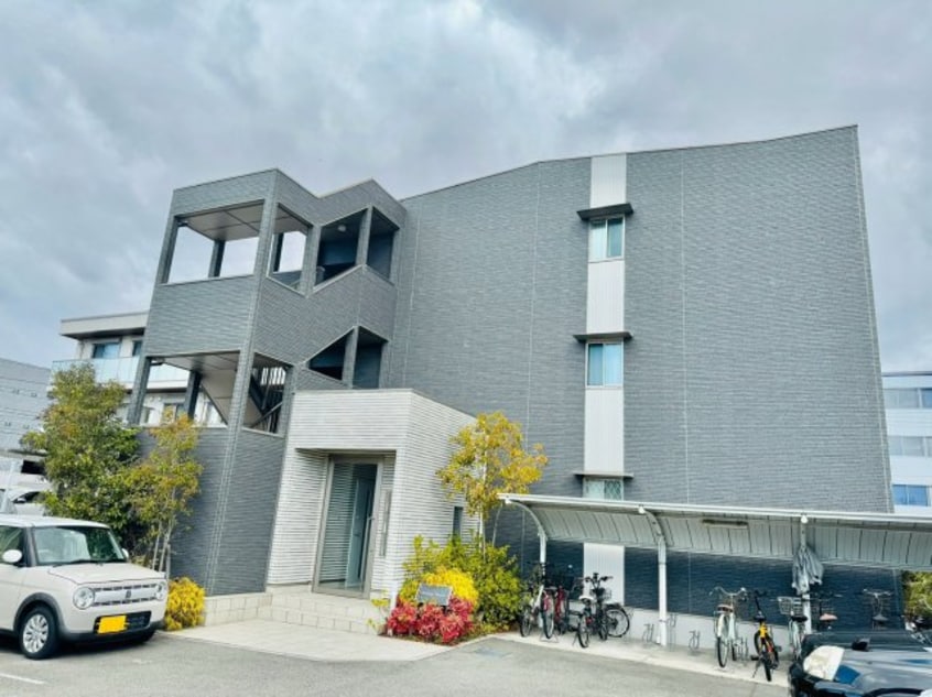  エクレシオ正木