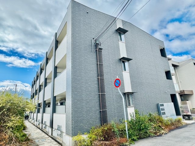  エクレシオ正木