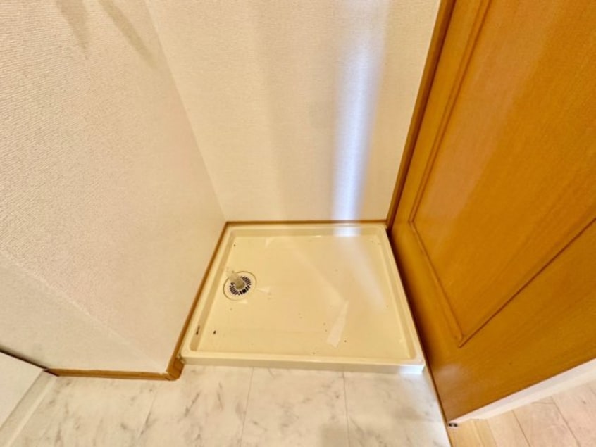  エクレシオ正木