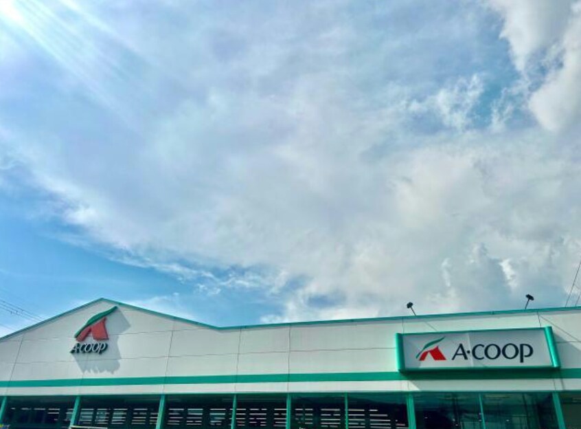 エーコープ高浜店(スーパー)まで491m ルミエール野田