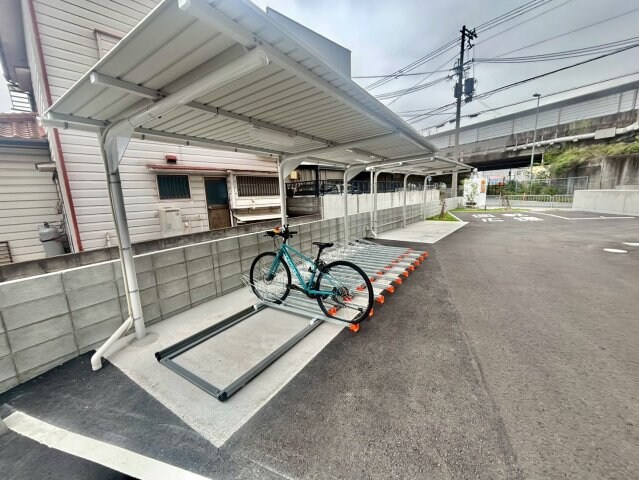  シェリル加古川