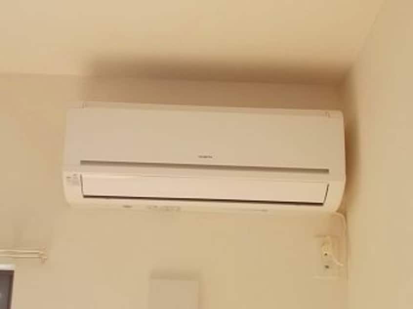  ホワイトローズ