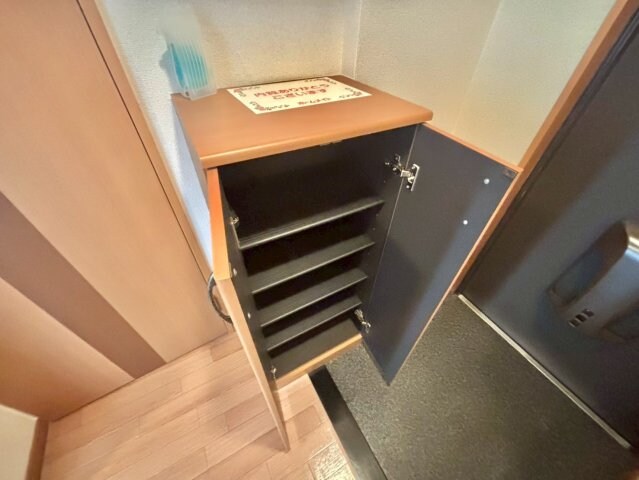  タイニーコート