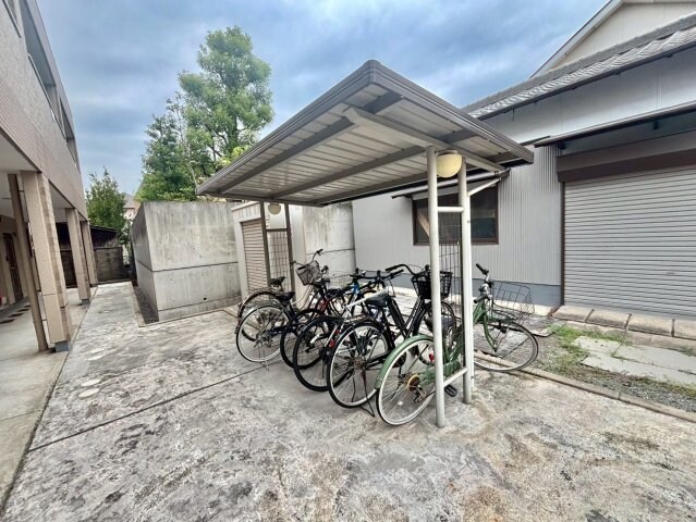  タイニーコート