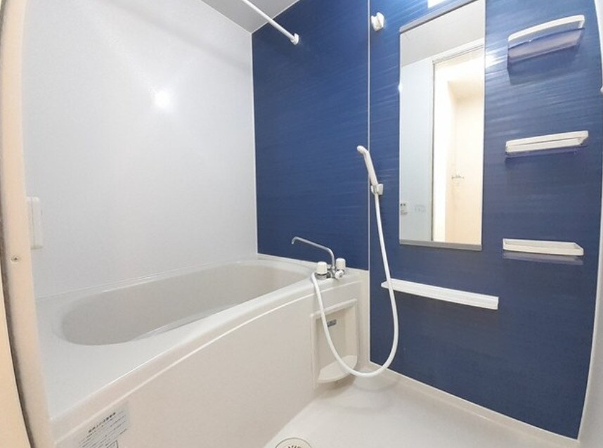  ラフレシールＨ