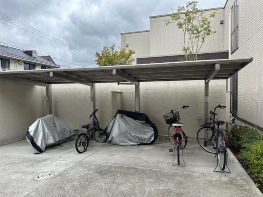  シャーメゾンオリーブ