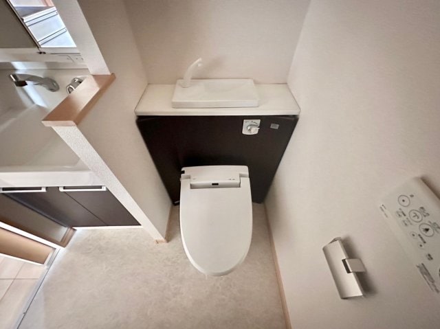  ワイズ　オブリガード