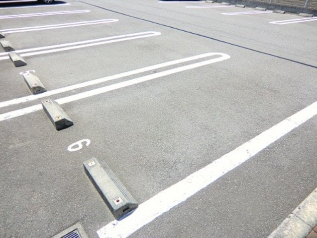  サウスエレガンス