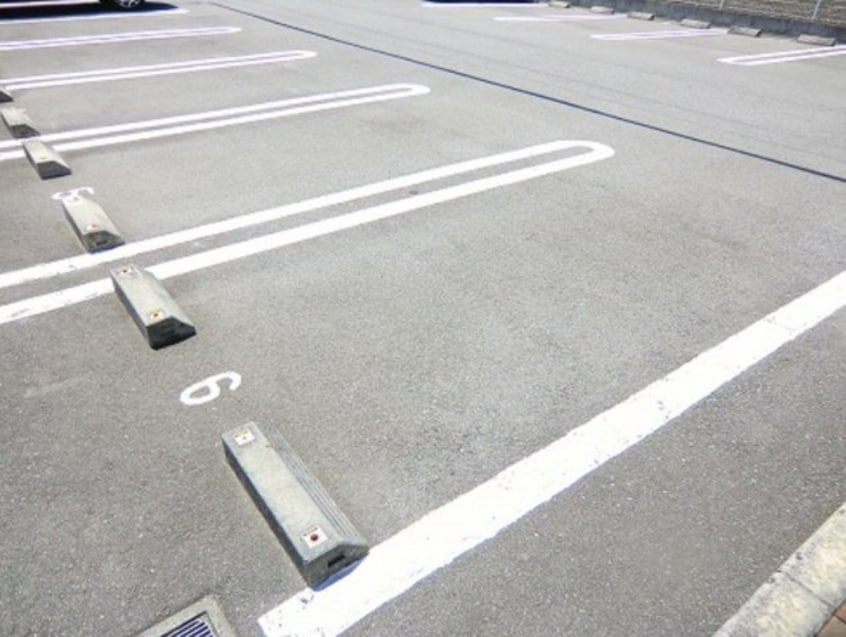  サウスエレガンス