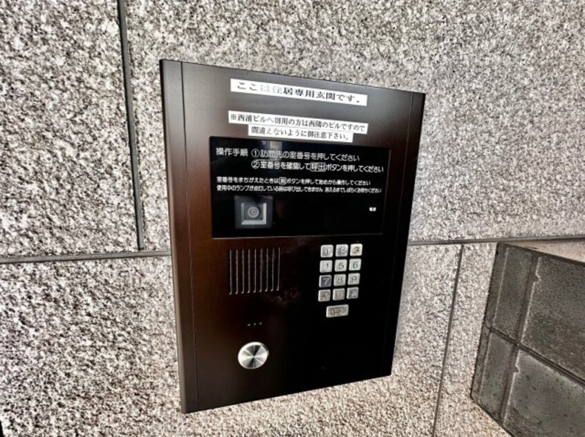  サニーニシウラ