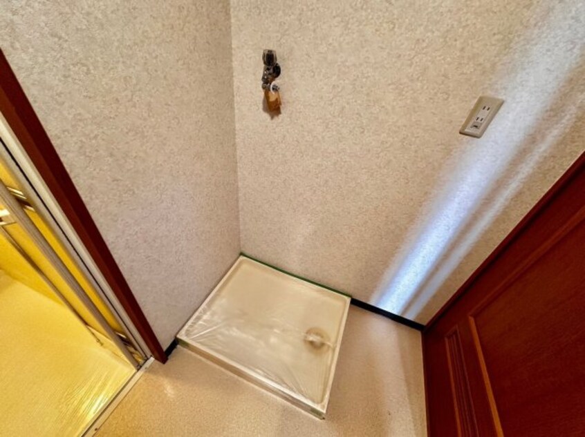  サニーニシウラ