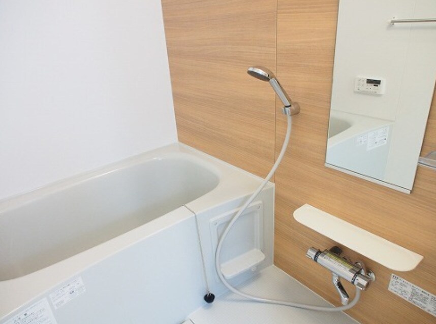  プラシード手柄Ⅱ