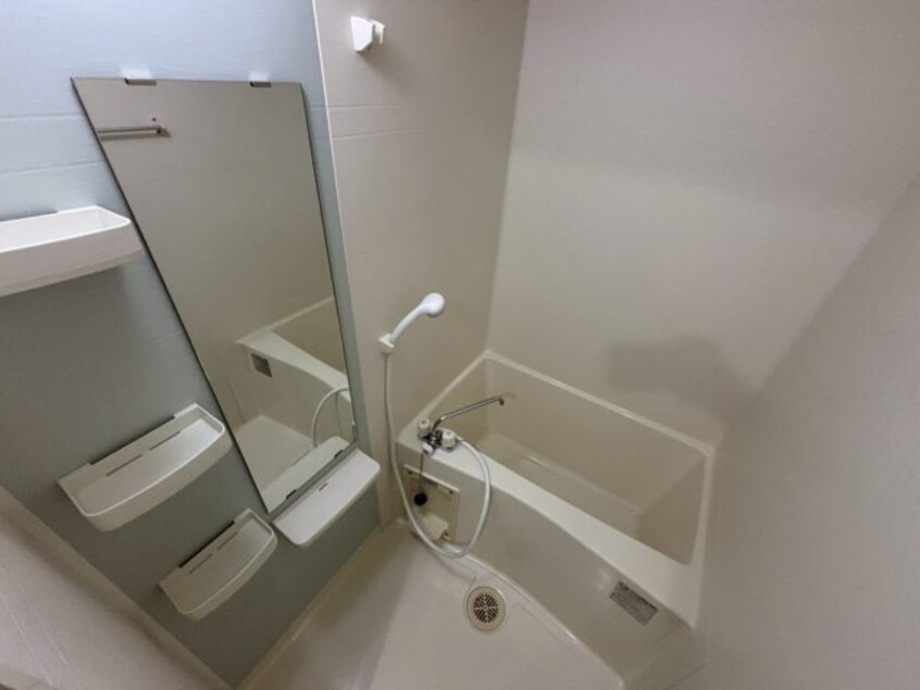  コンフォート　本町