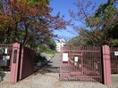 横尾中学校(中学校/中等教育学校)まで600m メービウス妙法寺