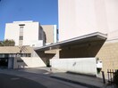 私立神戸常盤大学(大学/短大/専門学校)まで1047m ブルーシャトー板宿