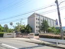 国立大学法人神戸大学名谷キャンパス(大学/短大/専門学校)まで1793m ウィンダム妙法寺壱番館