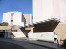 私立神戸常盤大学(大学/短大/専門学校)まで1038m ライフメイト松本