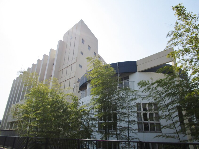 若宮小学校(小学校)まで85m エクレール衣掛