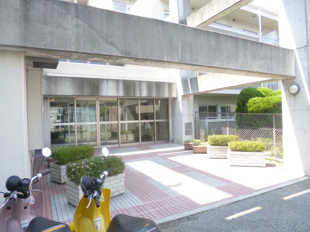 キレイなエントランス シティ南落合