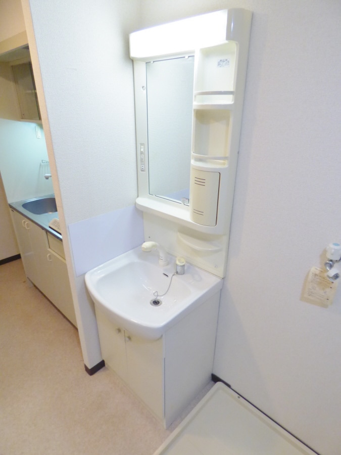 シャンプードレッサー ファインパレス