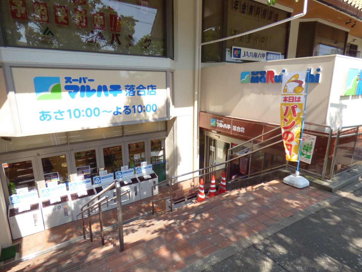 スーパーマルハチ落合店(スーパー)まで604m ルミネＢ棟