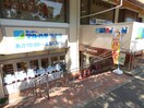スーパーマルハチ落合店(スーパー)まで604m ルミネＢ棟