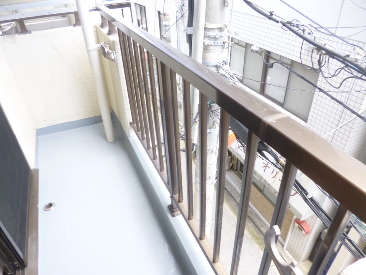 南東向きバルコニーで日当たり良好 ドミトリー板宿