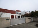 若草小学校(小学校)まで670m グリーンコート若草