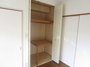 クローゼット グリーンコート若草
