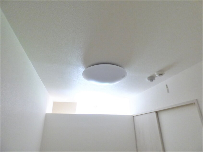 照明付 エヌエムキャラントドゥ