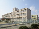 東落合中学校(中学校/中等教育学校)まで730m ネーベルベルク参番館