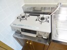 ２口ガスコンロ付 ルナドーム