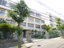 白川台中学校(中学校/中等教育学校)まで459m パークレット