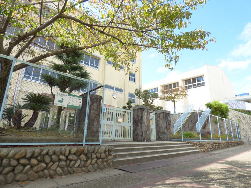 高倉中学校(中学校/中等教育学校)まで1920m ドルフ須磨