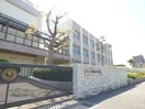 多井畑小学校(小学校)まで1599m ドルフ須磨