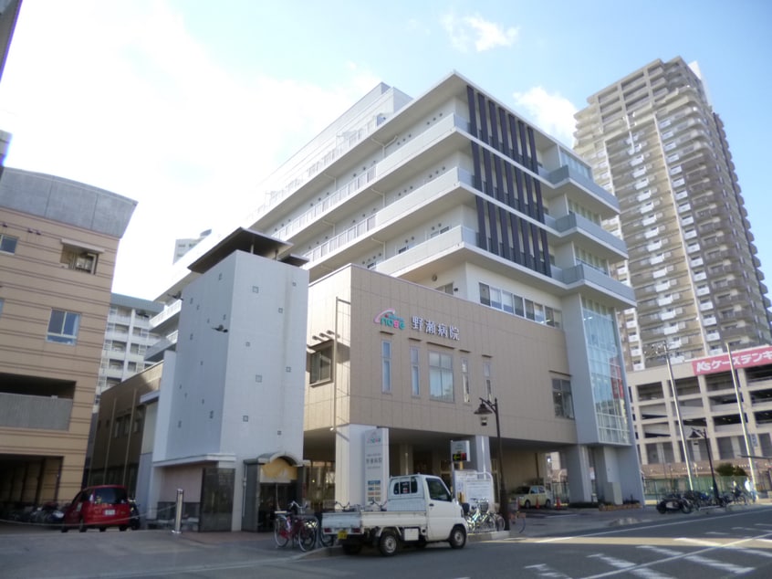 医療法人社団十善会野瀬病院(病院)まで532m 丸吉マンション