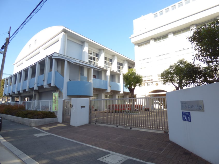 駒ケ林小学校(小学校)まで394m 丸吉マンション