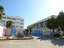東落合小学校(小学校)まで582m ネーベルベルク参番館